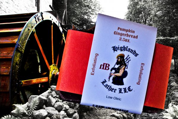 Pumpkin Gingerbread Soap