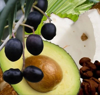 Fatty Acids and Vitamins