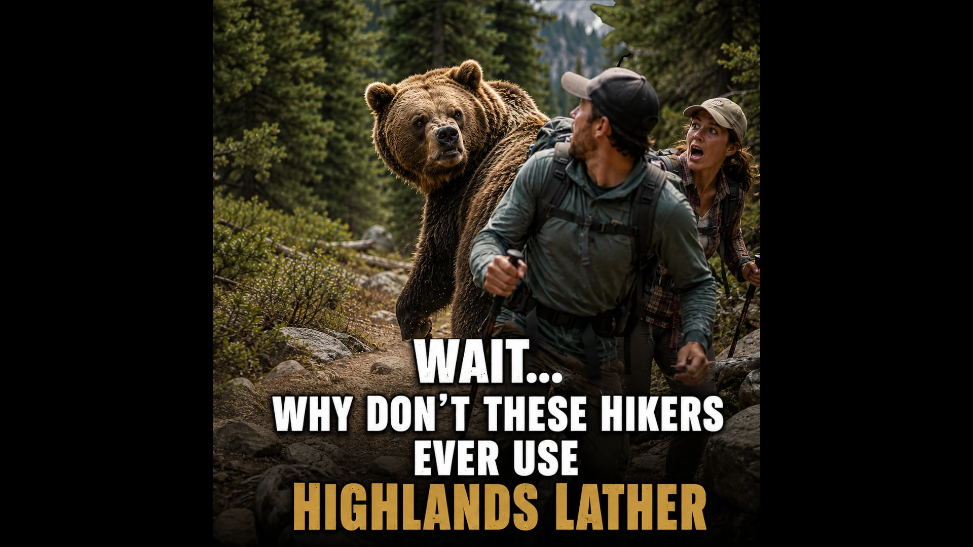 Funny Hiking Bear Meme About Hikers Smell